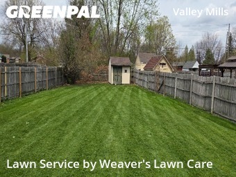 Lawn Cutting nearby Indianapolis, IN, 