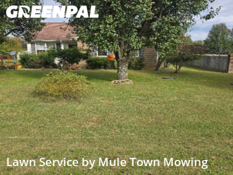 Lawn Maintenancein Murfreesboro,37130,Lawn Mowing Service by Mule Town Mowing , work completed in Jan , 2026