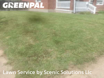 Grass Cutting nearby Dundalk, MD, 