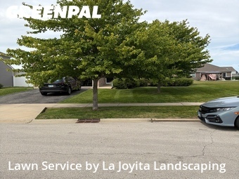 Lawn Care Service nearby Joliet, IL, 