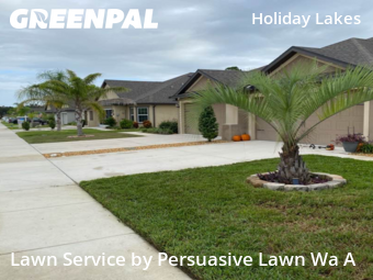 Grass Cutting nearby Holiday, FL, 