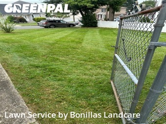 Lawn Mow nearby Union, NJ, 