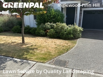 Lawn mowed in Kirkland, 98034