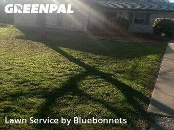 Yard Mowing nearby Austin, TX, 