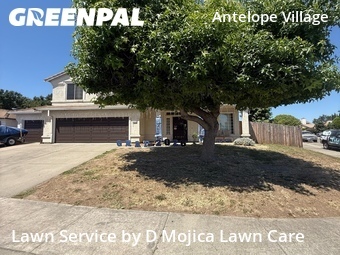 Yard Cutting nearby Antelope, CA, 