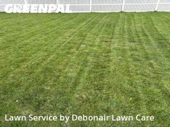 Lawn Mow nearby Omaha, NE, 