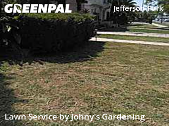 Grass Cut nearby Los Angeles, CA, 