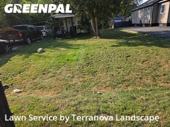 Lawn Care Servicein Aurora,60506,Grass Cut by Terranova Landscape, work completed in Nov , 2025