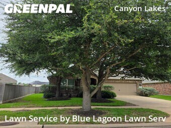 Work completed by the-yard-cutting-businesses-in in Cypress, CA