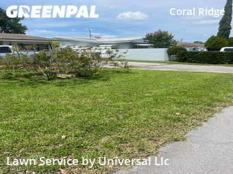 Lawn Maintenance nearby Fort Lauderdale, FL, 