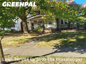 Lawn Mowin Lakewood,44107,Lawn Mow by Strib The Grasshopper, work completed in Feb , 2026