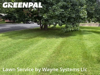 Grass Cutting nearby Columbia, MO, 