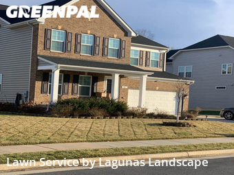 Lawn Care nearby Stafford, VA, 