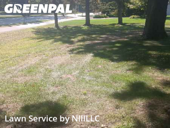 Lawn Mowing Service nearby Norton Shores, MI, 