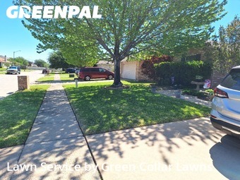 Yard Cutting nearby Grand Prairie, TX, 