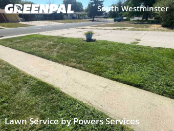 Lawn Maintenancein Westminster,80031,Yard Cutting by Powers Services, work completed in Feb , 2026