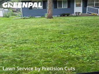 Lawn Cutting in Blaine, 55434, Grass Services by Precision Cuts, work completed in Nov , 2025