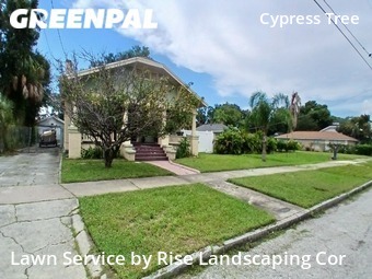 Grass Cutting nearby Tampa, FL, 