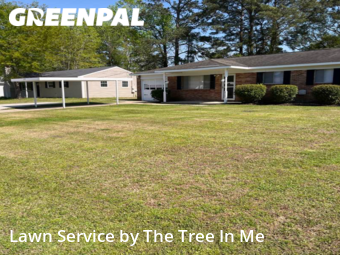 Lawn Mowing Service nearby Jacksonville, NC, 
