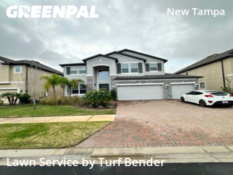 Lawn Mow nearby Tampa, FL, 