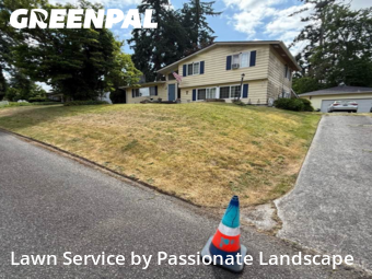 Lawn Maintenance in Lacey, 98503, Turf Services by Passionate Landscape, work completed in Nov , 2025