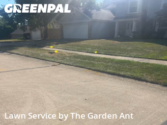 Lawn Cutin Ballwin,63011,Lawn Mowing by The Garden Ant , work completed in Nov , 2025