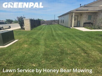 Yard Cutting nearby New Braunfels, TX, 