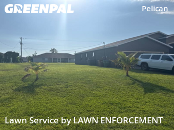 Lawn Cutting nearby Cape Coral, FL, 