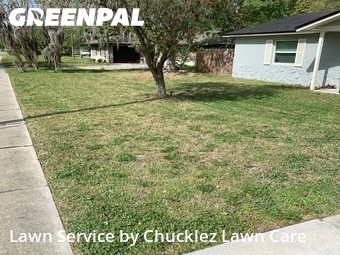 Grass Cut nearby Orange Park, FL, 