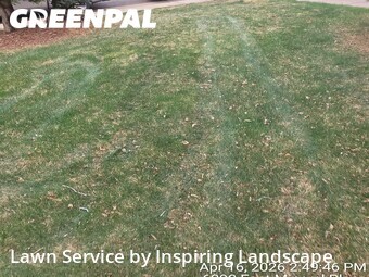Lawn Care Servicein Centennial,80112,Grass Cut by Inspiring Landscape, work completed in Jun , 2026