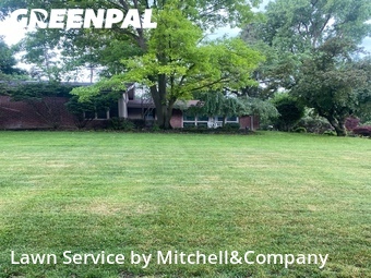 Lawn Cut nearby Bloomfield Township, MI, 