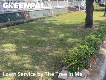 Lawn Mow nearby Jacksonville, NC, 