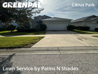 Lawn Mow nearby Tampa, FL, 