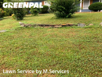 Lawn Mowing Service nearby Greensboro, NC, 