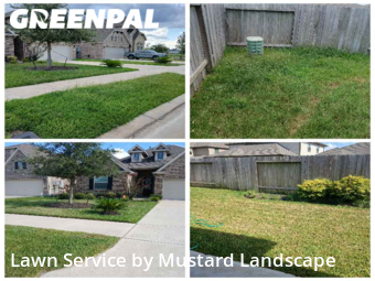 Grass Cutting nearby Missouri City, TX, 