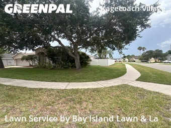 Lawn Cutting nearby Land O' Lakes, FL, 