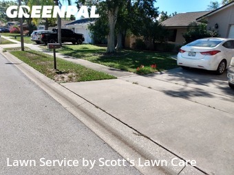 Yard Mowing nearby Palm Harbor, FL, 