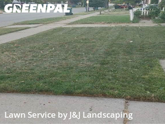 Grass Cut nearby Lincoln Park, MI, 