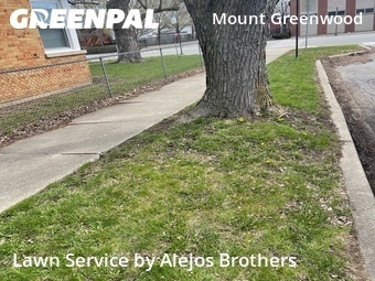 Yard Cutting nearby Chicago, IL, 