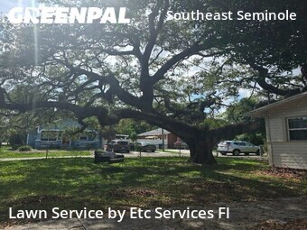 Lawn Mow nearby Tampa, FL, 