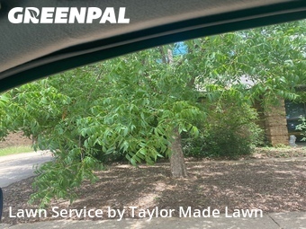 Lawn Maintenancein Euless,76039,Lawn Care Service by Taylor Made Lawn , work completed in Jun , 2026