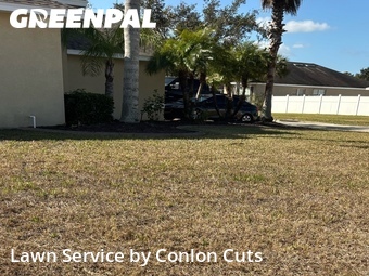 Yard Cutting nearby Palmetto, FL, 