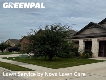 Grass Cut nearby Manor, TX, 