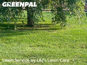 Lawn Mow nearby Greenfield, WI, 