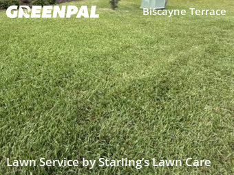 Grass Cutting nearby Jacksonville, FL, 