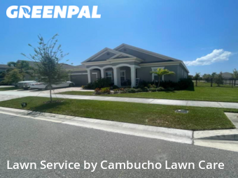 Lawn Cutting nearby Apollo Beach, FL, 