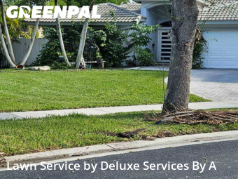 Grass Cutin Sunrise,33351,Lawn Service by Deluxe Services By A, work completed in Dec , 2025