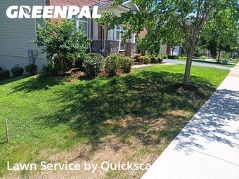 Grass Cut nearby Fairfax, VA, 