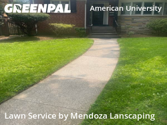 Grass Cut nearby Washington, MD, 