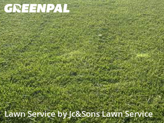 Lawn Care nearby Matthews, NC, 